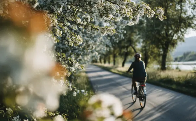 20250818 Stadt Linden KI Umwelt 01